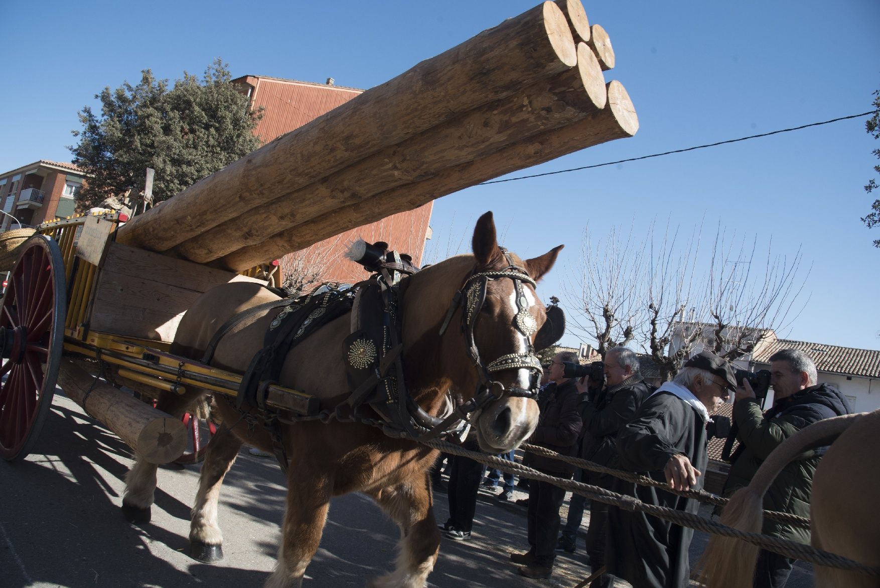 Les millors imatges dels Traginers de Balsareny