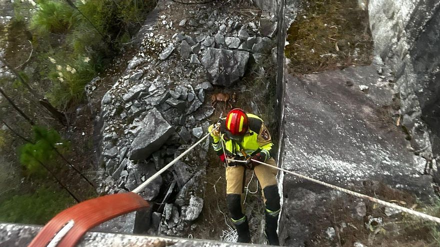 Un perro pierde la vida en Vilagarcía tras precipitarse por la cantera de Cea