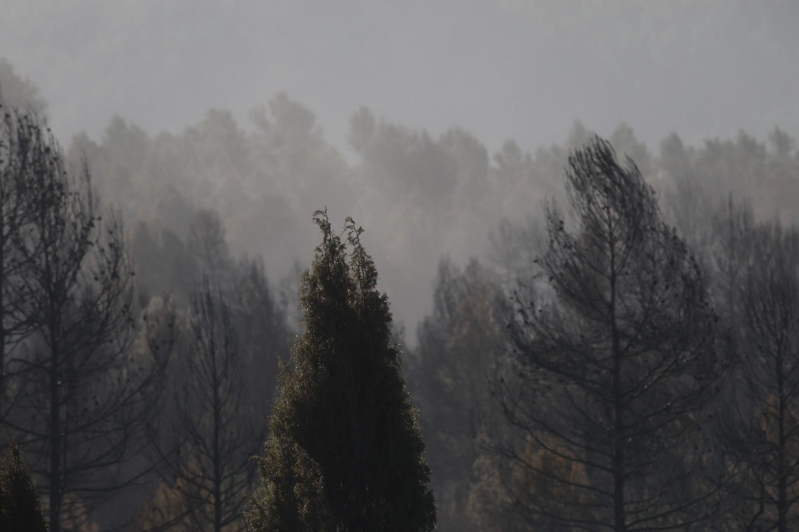 Las imágenes del incendio forestal en el Alto Mijares