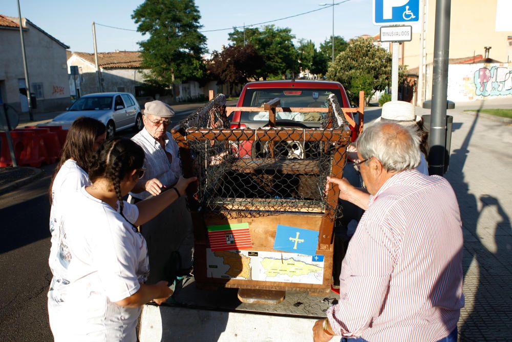 Fiestas de Pinilla: Carrera de Autos Locos