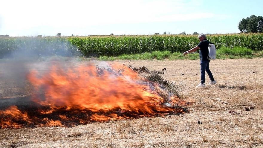 El producto ecológico que sustituye el agua y está revolucionando la gestión de incendios forestales