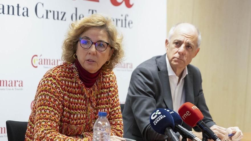 Skilled Worker Shortages Hamper Tenerife Business Growth