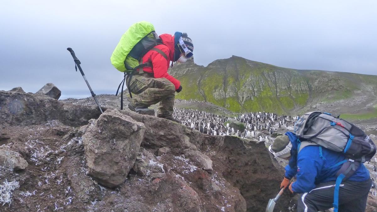Investigadores recogiendo muestras en la Antártida