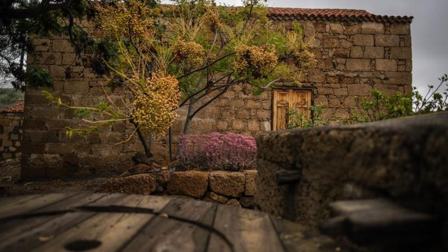 Icor, un caserío sin apenas habitantes en Arico