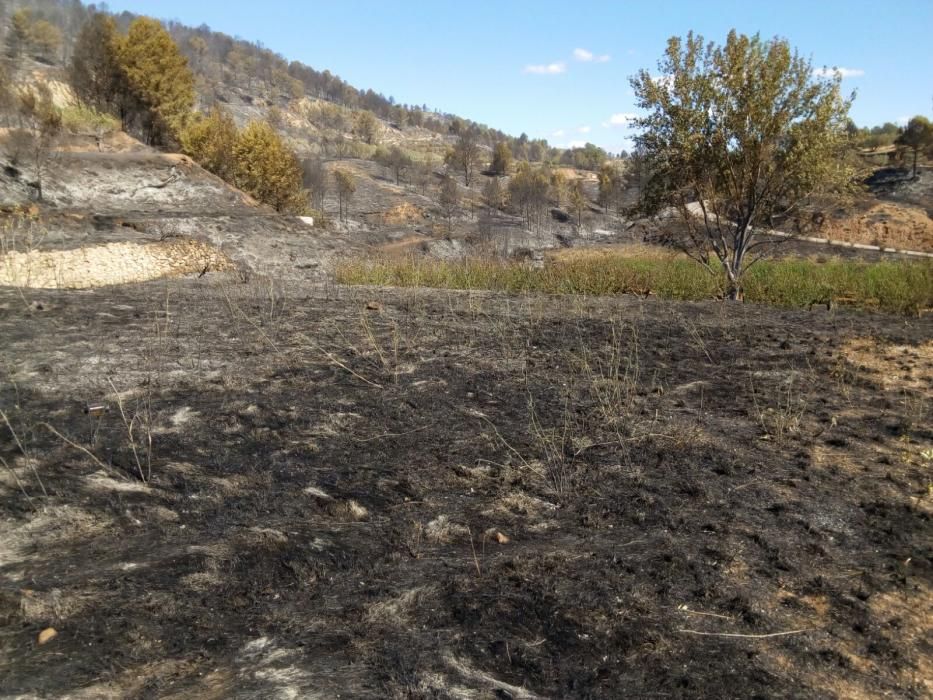 Paisaje que ha quedado en Bolbaite tras el paso del fuego.