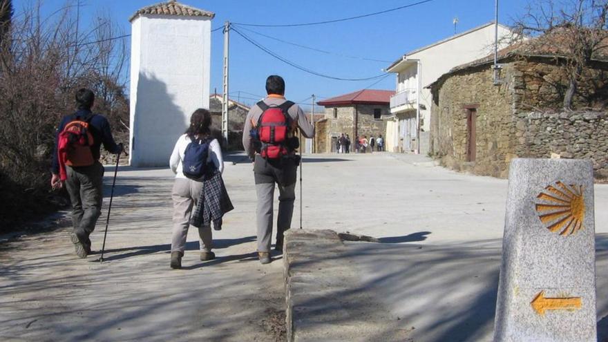 Peregrinos, en una de las rutas jacobeas de la provincia. | ARCHIVO
