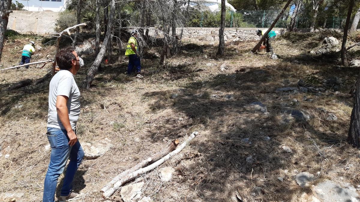 El responsable de Medio Ambiente visitó las labores de limpieza realizadas.
