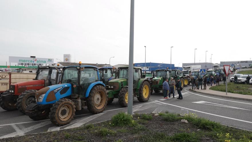 Bauern-Proteste auf Mallorca: Rund 70 Traktoren blockieren Großmarkt Mercapalma