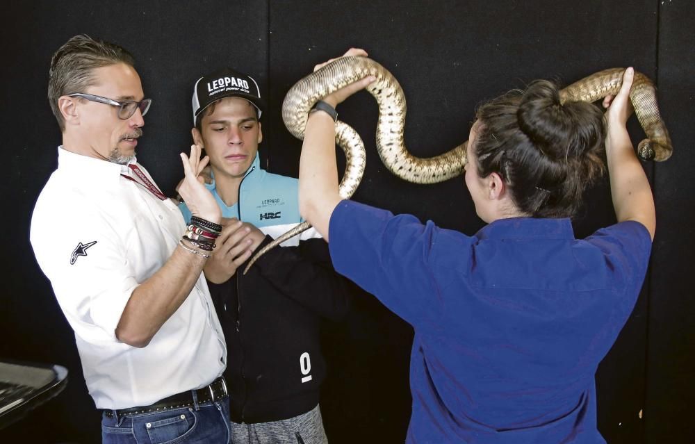 Mir se deja abrazar por una serpiente pitón en Australia