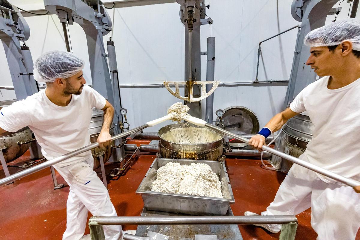 La fábrica de El Lobo-1880 en plena campaña esta semana