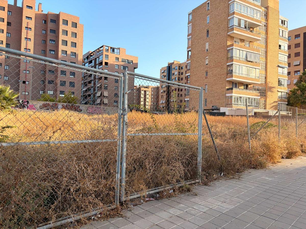 Solar con ratas y peligro de incendio en Alicante