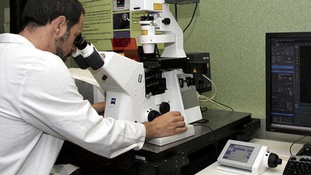 Un investigador del Idisba utiliza el microscopio en el laboratorio.