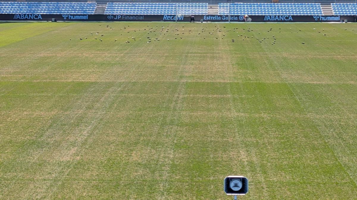 LaLiga aplaza al 27 de agosto el Celta-Osasuna por el mal estado del césped de Balaídos