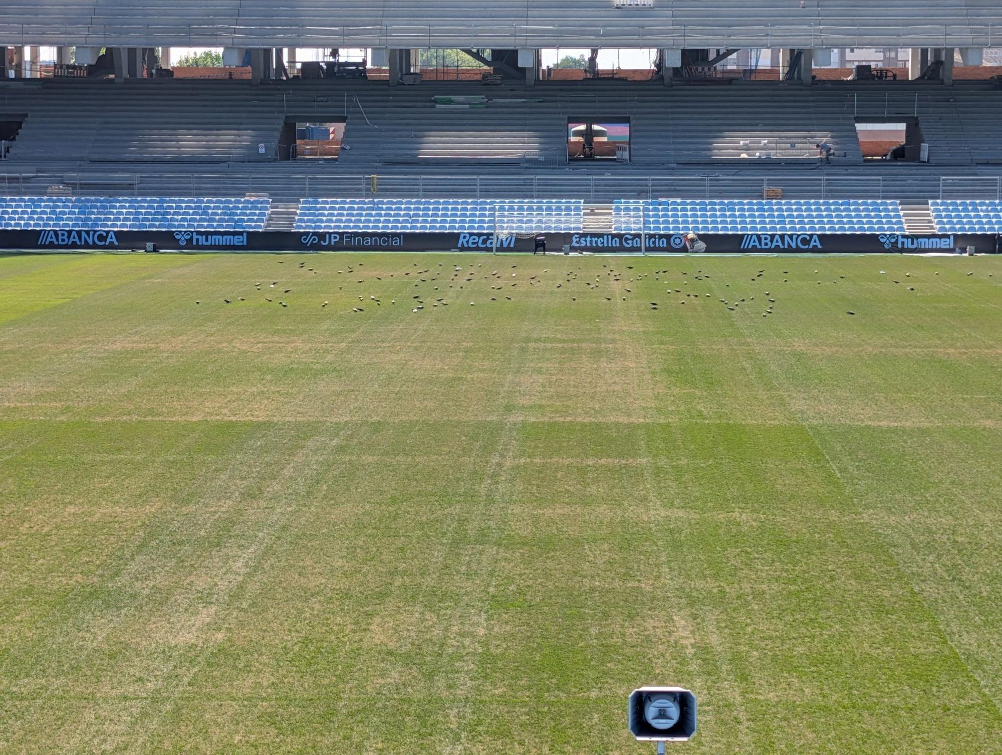 La Liga decidirá este jueves si aplaza o no el Celta-Osasuna por el estado del césped