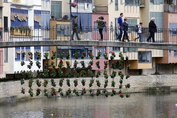 Comencen els preparatius per Temps de Flors