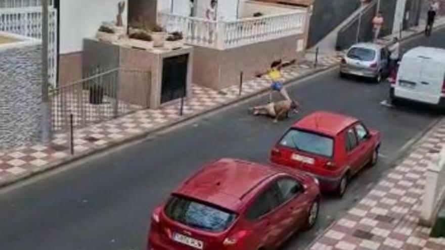 Dos personas se pelean en el Sur de Tenerife.