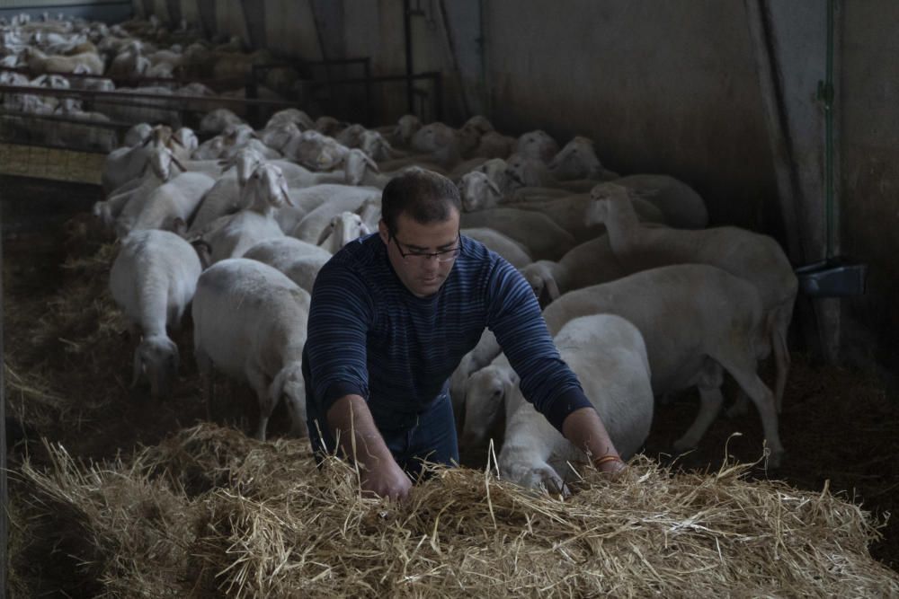 Los labradores y ganaderos piden precios justos.