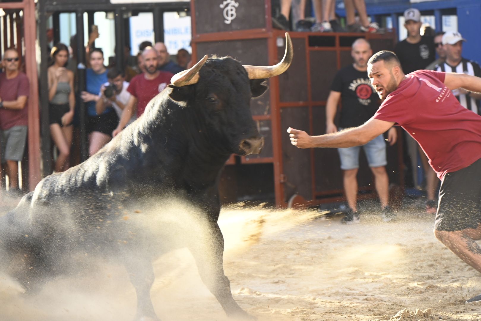 Las mejores imágenes del desfile y la entrada del toro por Sant Pere en el Grau