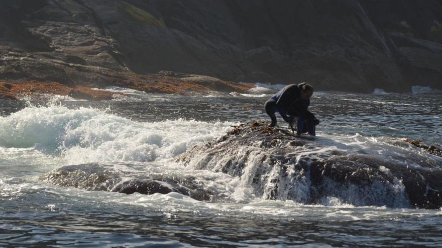 Un percebeiro faenando nunha das rochas da costa de Muxía / s. Pérez