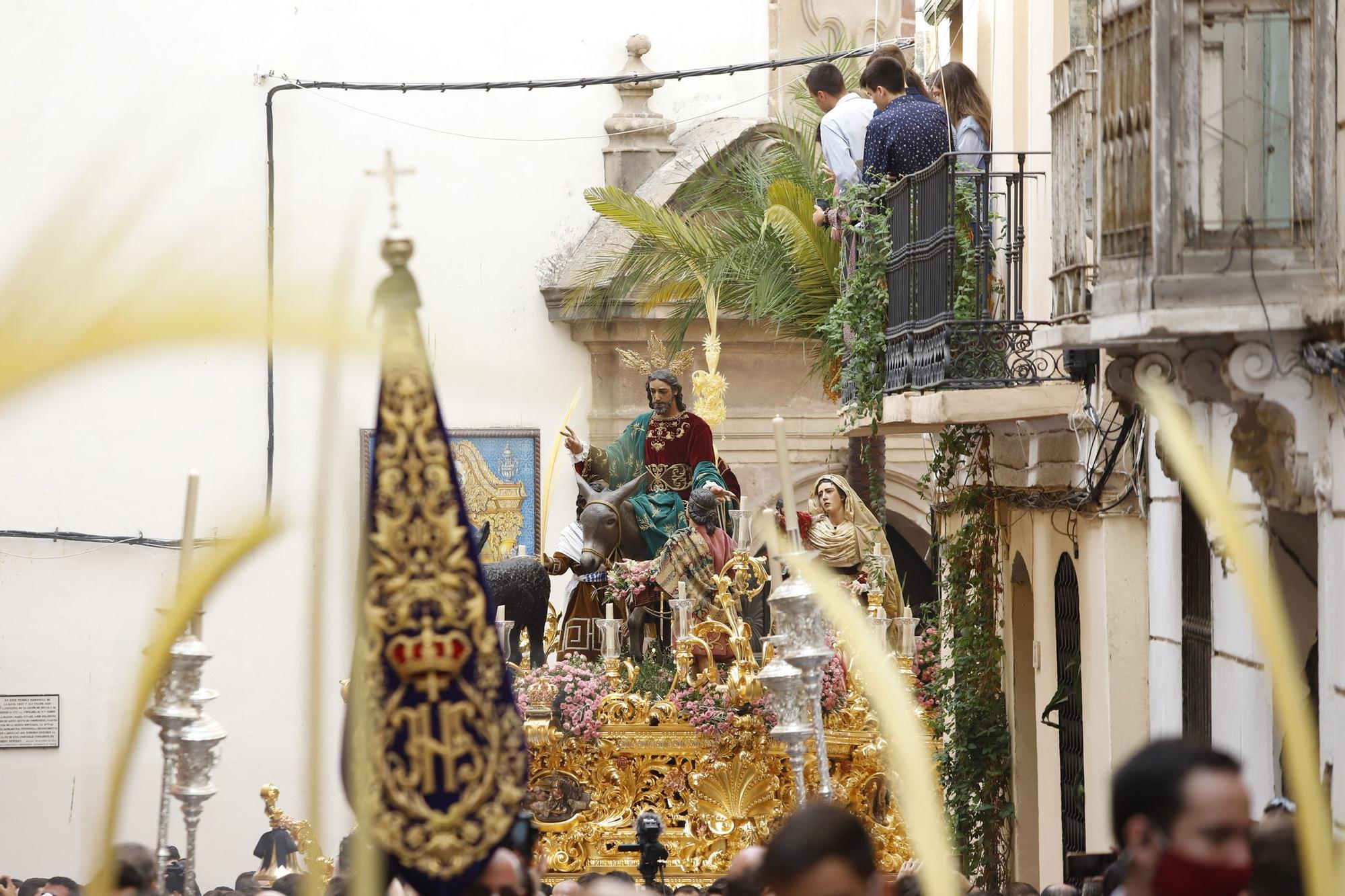 Procesión Magna de Málaga | Pollinica