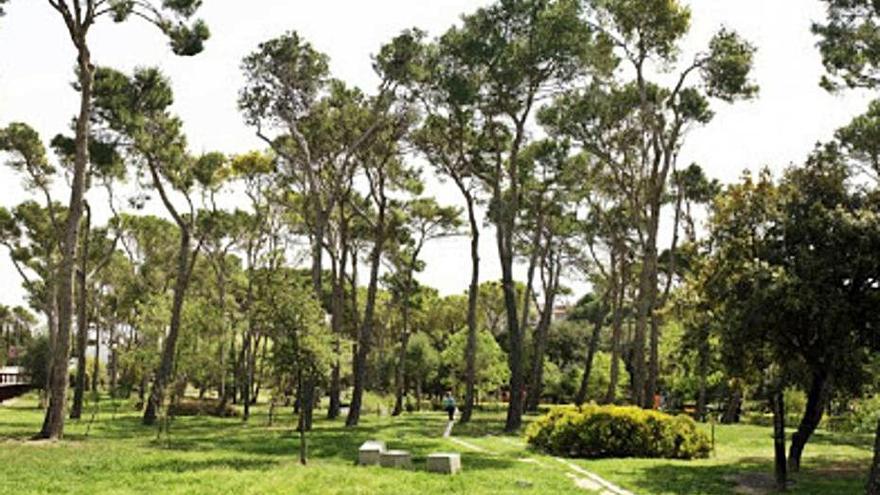 El parc Bosc de Figueres, el pulmó verd de la ciutat.