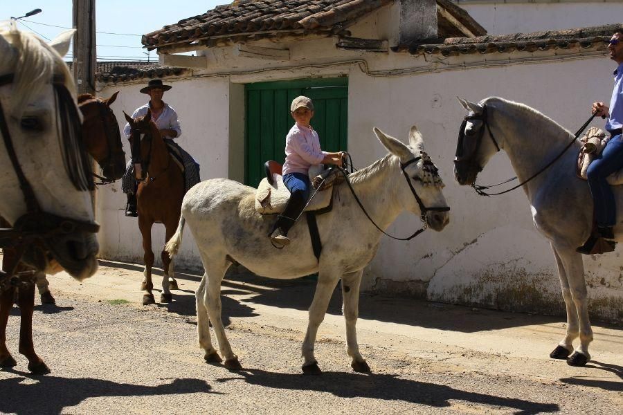 Feria del caballo en Fuentesaúco