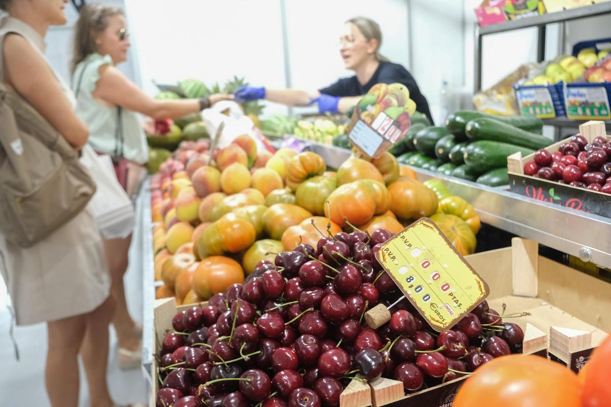 Así es El Mercat del Poble, las nuevas instalaciones provisionales del Mercado de Novelda Así es El Mercat del Poble, las nuevas instalaciones provisionales del Mercado de Novelda