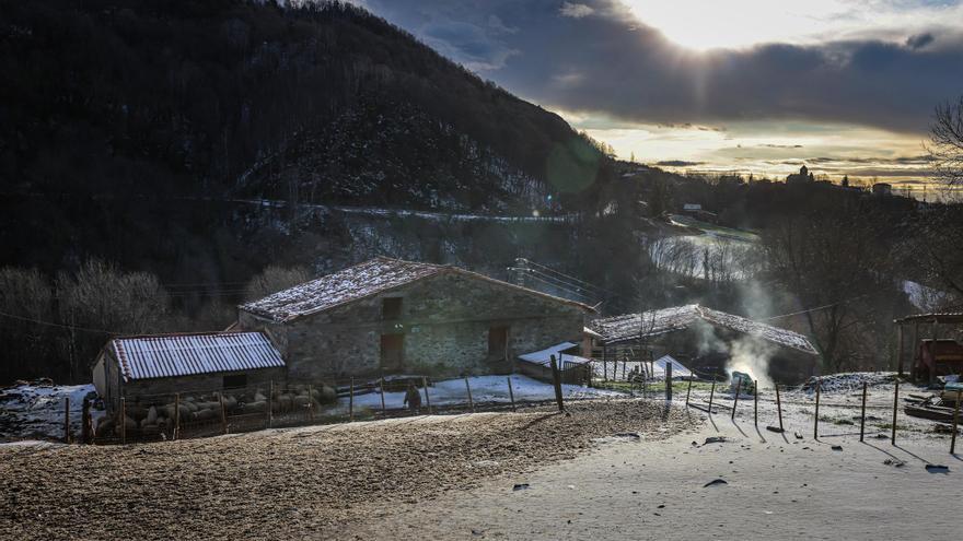 Els pagesos tallen el coll d&#039;Ares: &quot;Els canvis s&#039;han de forçar ja, ens han portat a una situació límit&quot;