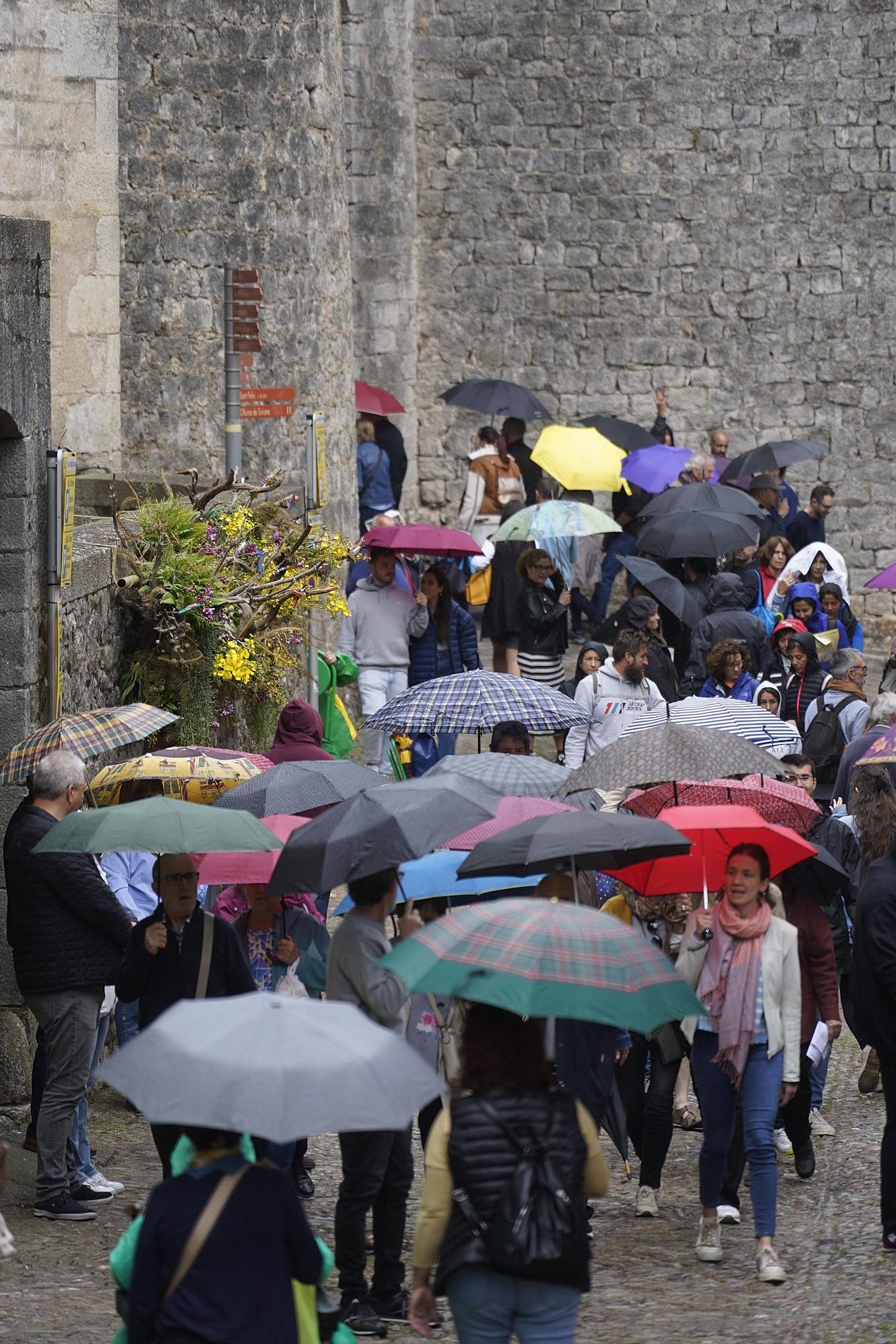 L'últim dia de Temps de Flors en imatges