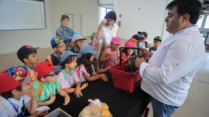 Estos son los campamentos temáticos de verano que ofrece el Concello de Vilagarcía para escolares de 8 a 12 años