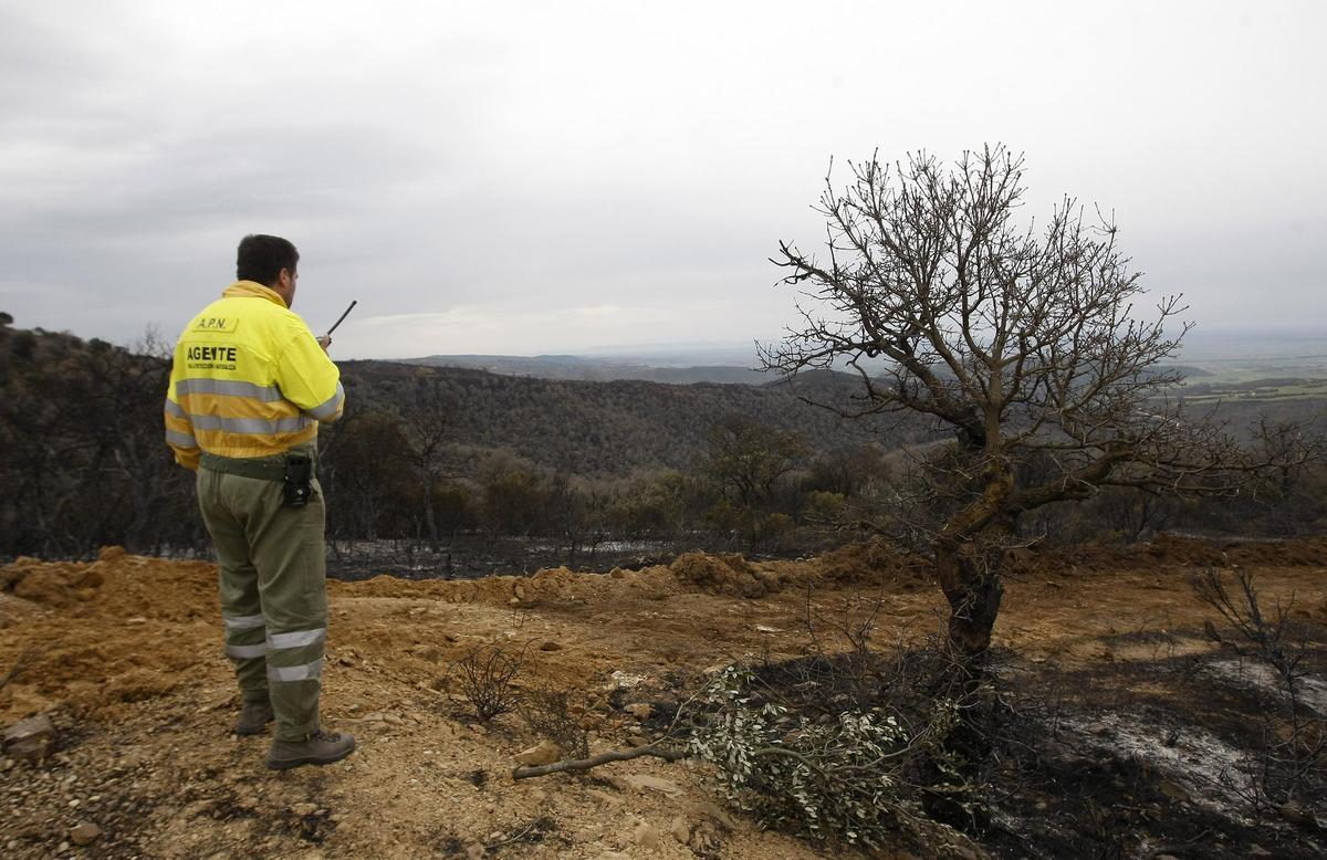 Los Agentes de la Naturaleza en Aragón son profesionales altamente cualificados.