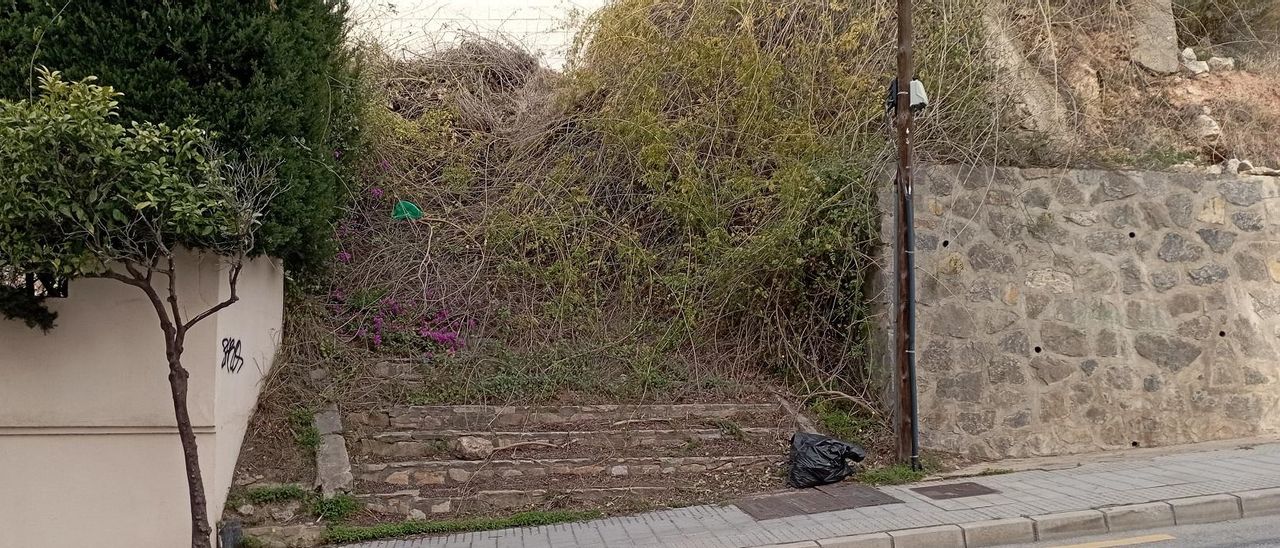 Las escaleras a ninguna parte tomadas por la vegetación, el mes pasado en la avenida de San Isidro.