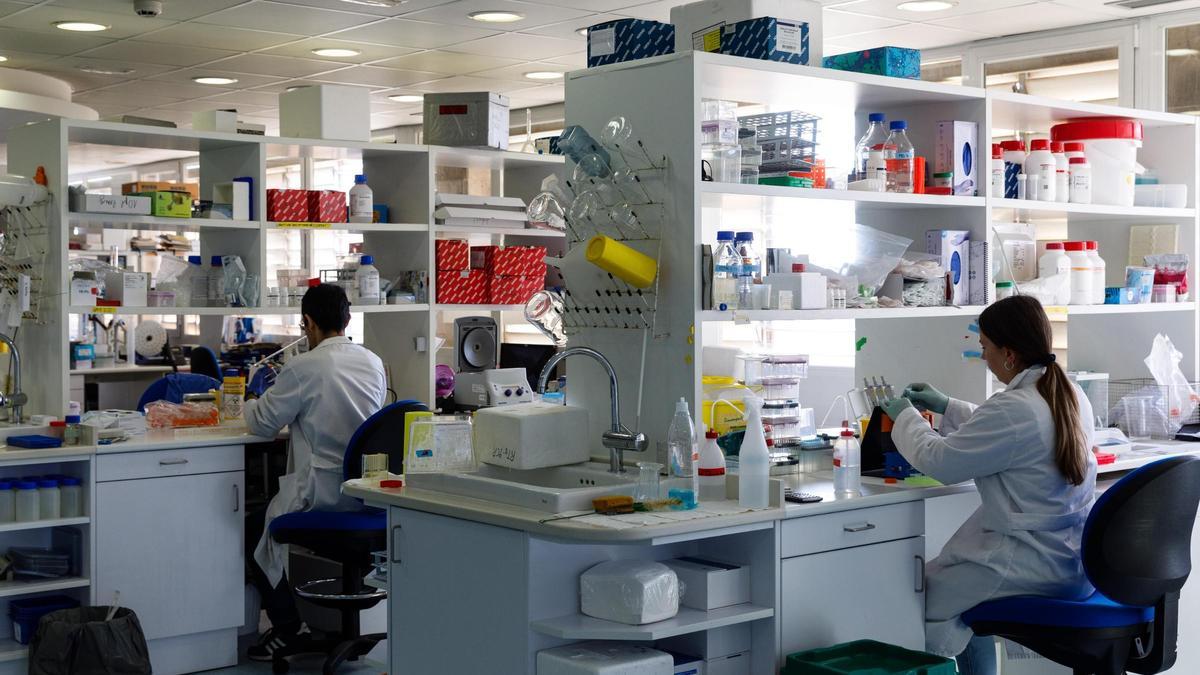 Investigadores de Inmuno-oncología en el Instituto Isabial de Alicante