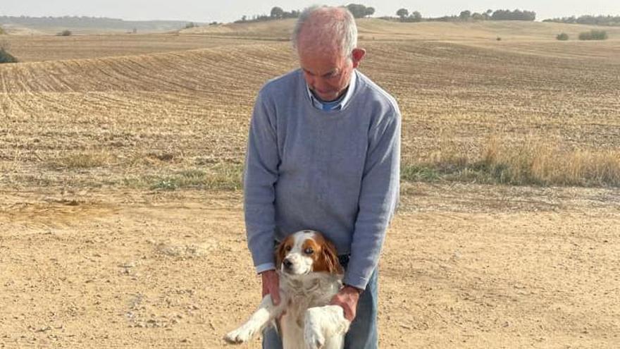 Reencuentro entre el dueño y el bretón desaparecido