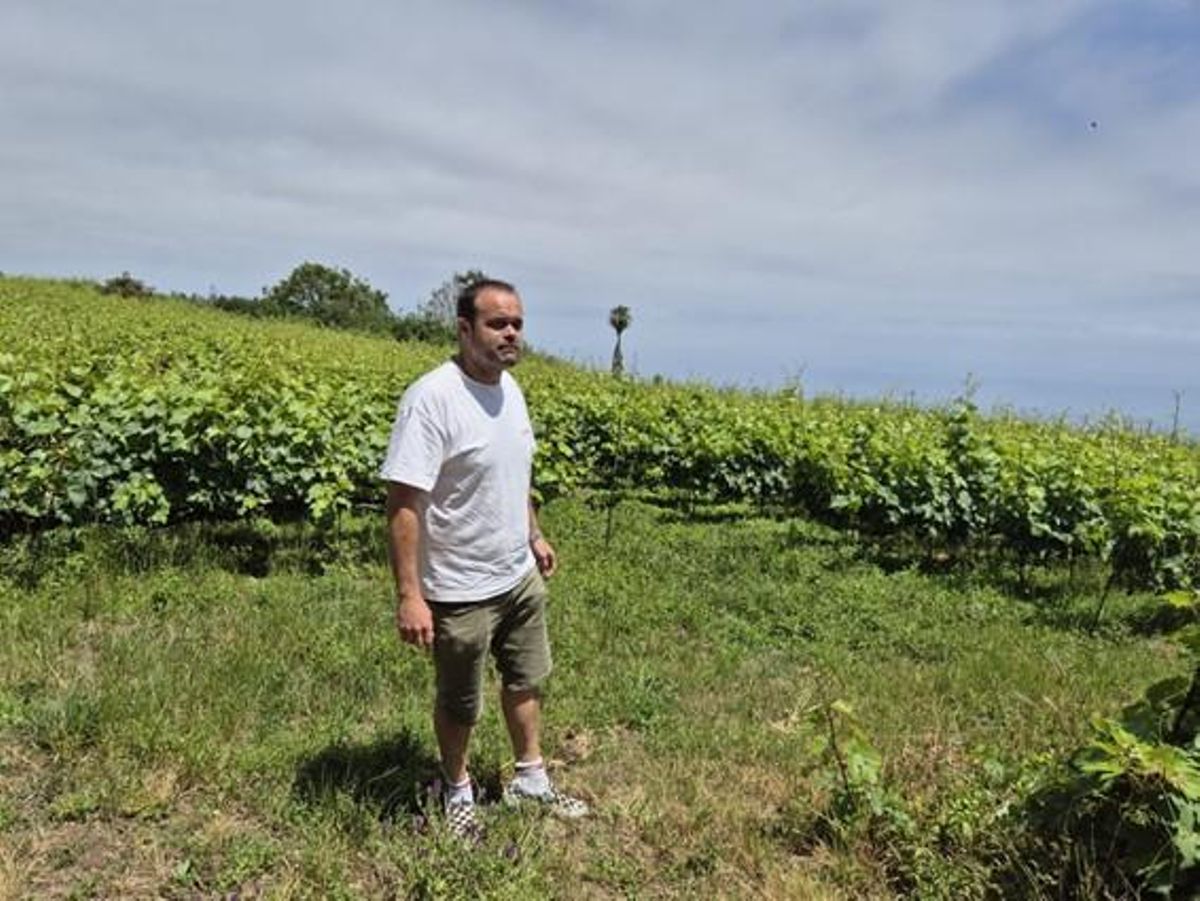 Roberto Santana nos enseña la viña en Palo Blanco.