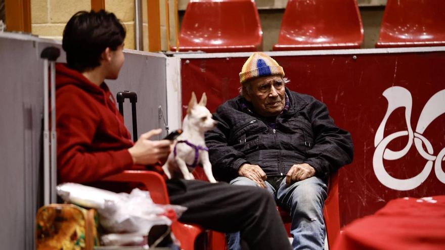 Cáritas lanza en Córdoba una campaña solidaria para apoyar a afectados por las inundaciones