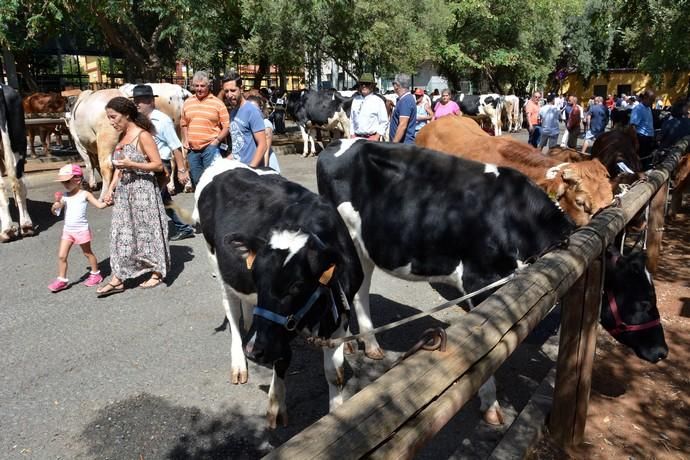 Feria de ganado, misa y procesión de San Miguel