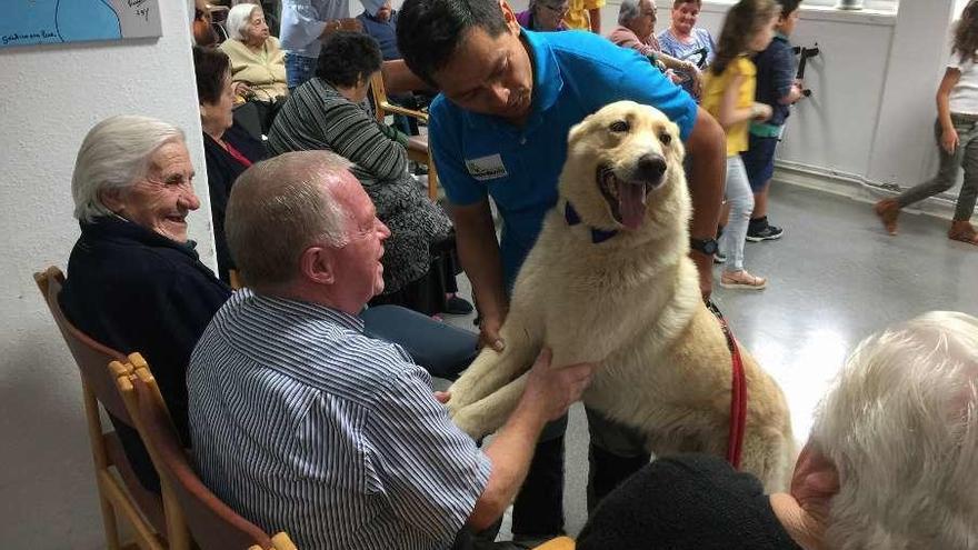 Primera sesión de terapia canina en la residencia