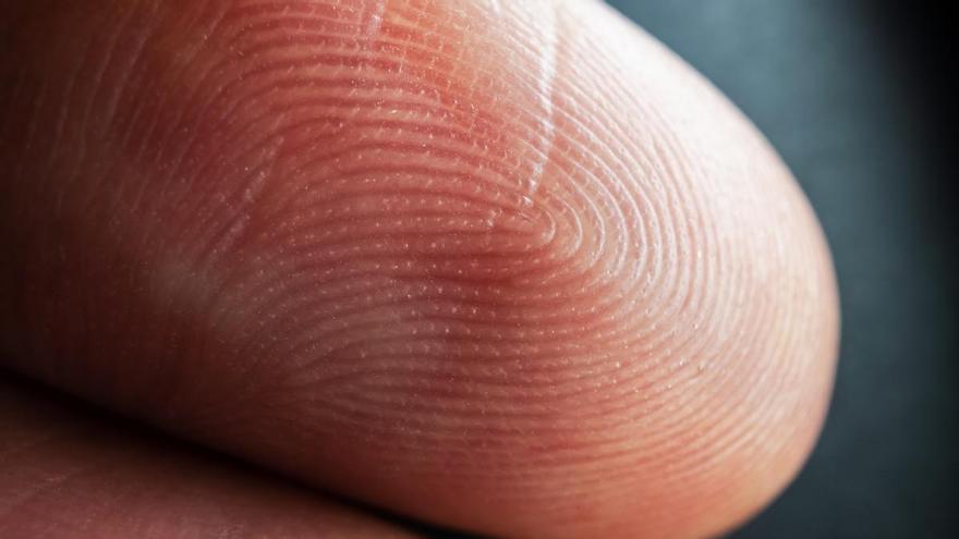 Unos estudiantes de ingeniería revolucionan la medicina forense al descubrir que una persona puede tener las mismas huellas dactilares