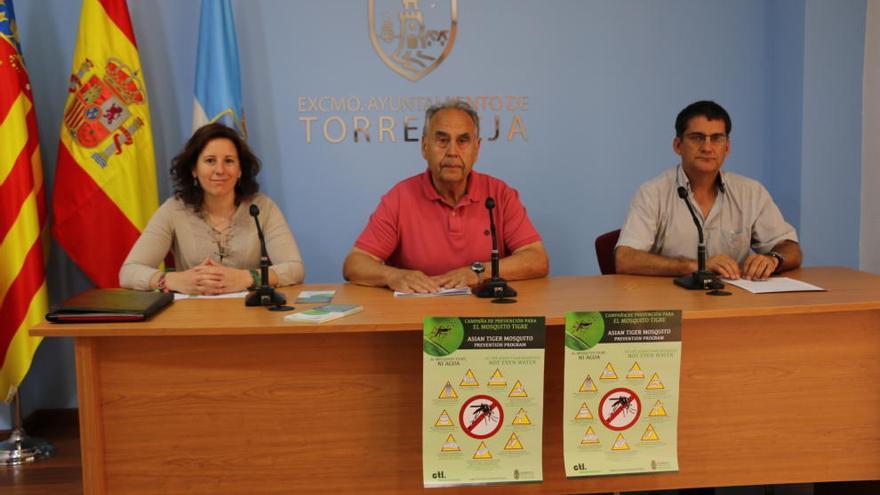 Torrevieja se prepara para una pequeña gran amenaza: el mosquito tigre