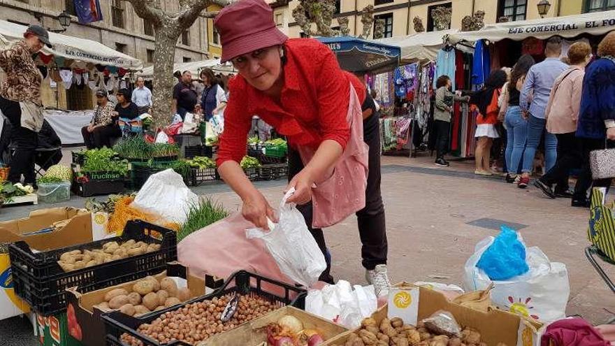 Olga Suárez, ayer, en el Fontán, cogiendo avellanas de su cosecha.