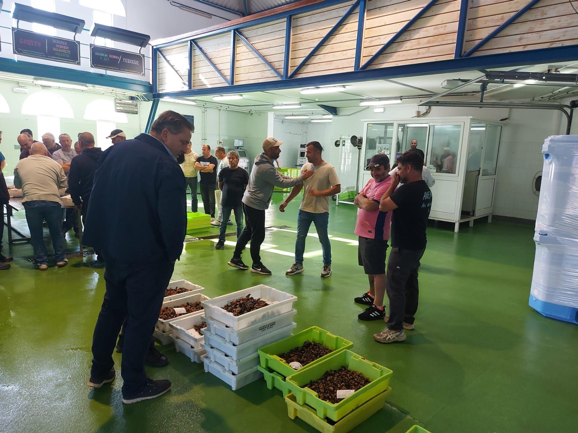 En imágenes: La primera subasta de percebe de la temporada en la rula de Puerto de Vega