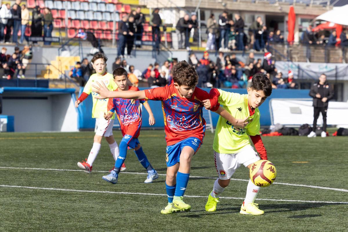 Galería: Torneo Fibwi en Sant Antoni Galería: Torneo Fibwi en Sant Antoni