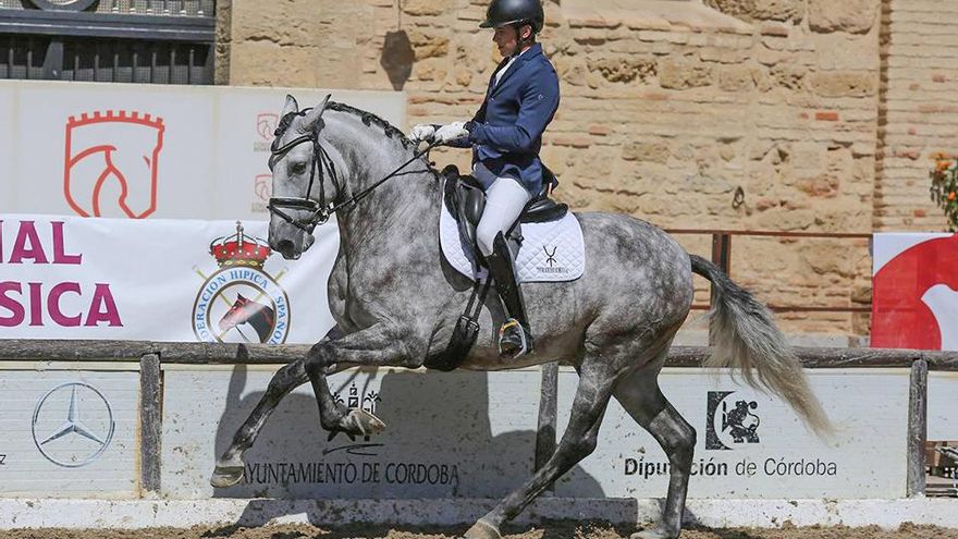 Concurso Nacional de Doma Clásica en Caballerizas