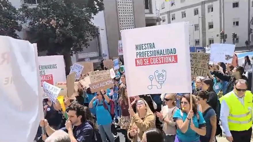 Manifestación de veterinarios en Tenerife