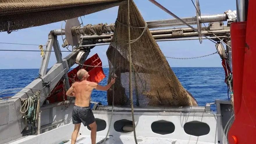 Un pesquero libera vivo a un enorme tiburón peregrino capturado por accidente en el Canal de Ibiza