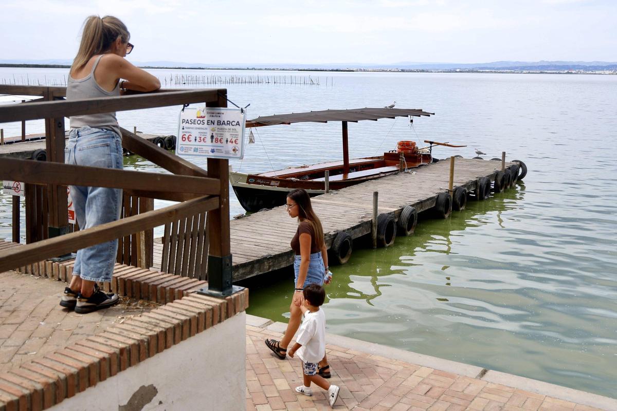 La salinización avanza en l'Albufera