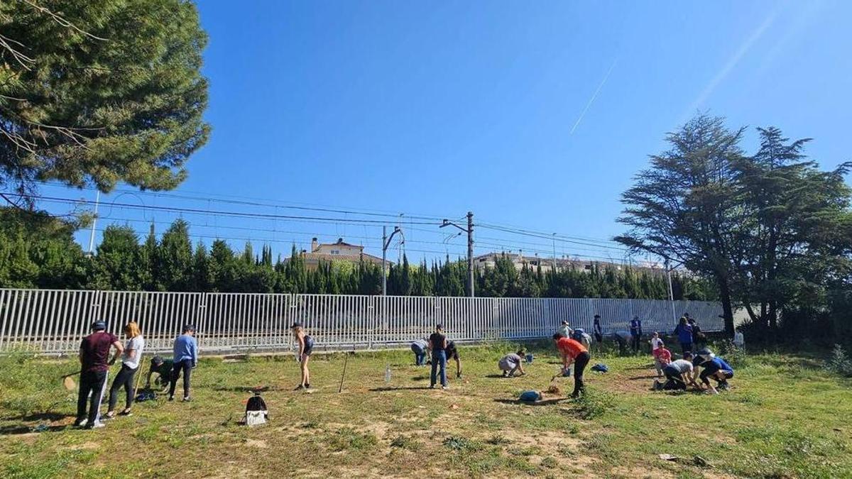 Más de 200 voluntarios participan en la recuperación ambiental de municipios de l’Horta Sud afectados por la dana.
