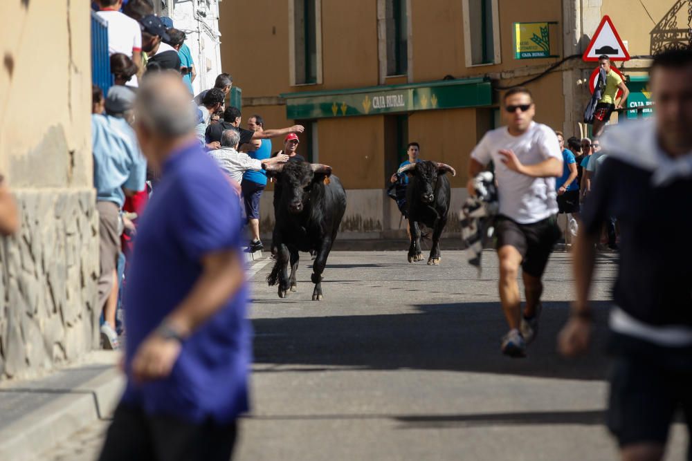 Encierro Urbano Bóveda de Toro