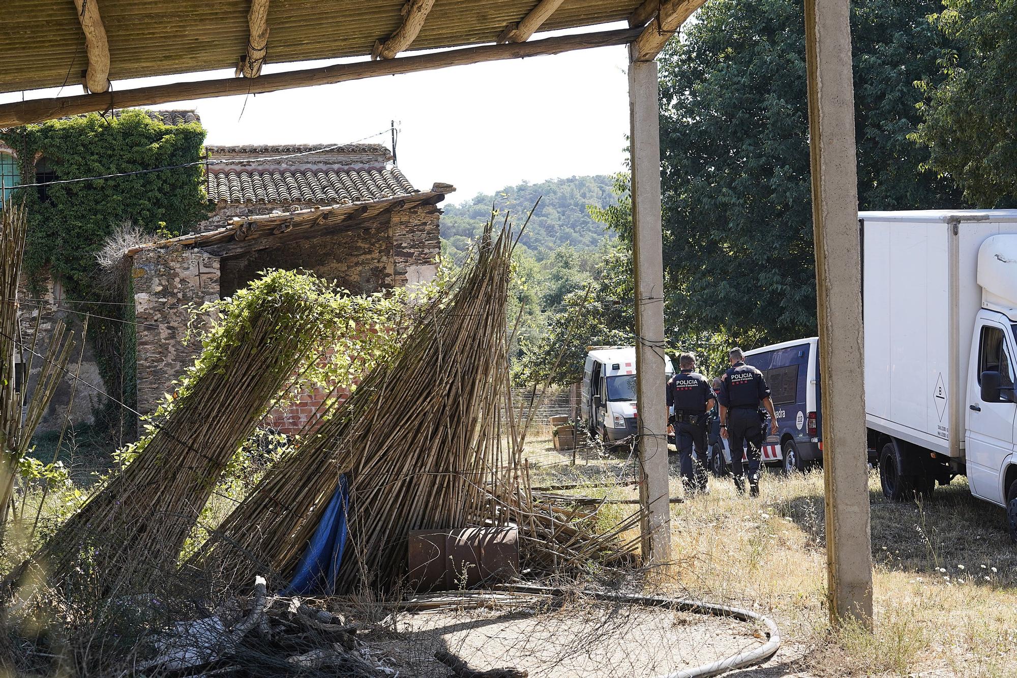 Plantació de marihuana en un mas de Quart